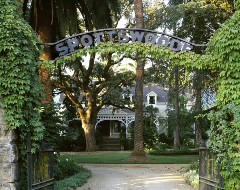 spottswoode estate entrance summer