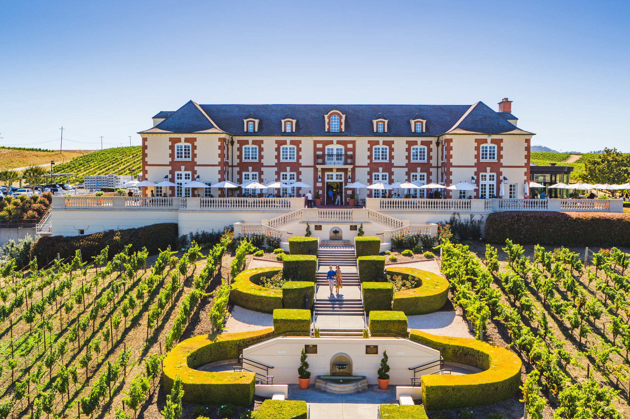 Domaine Carneros